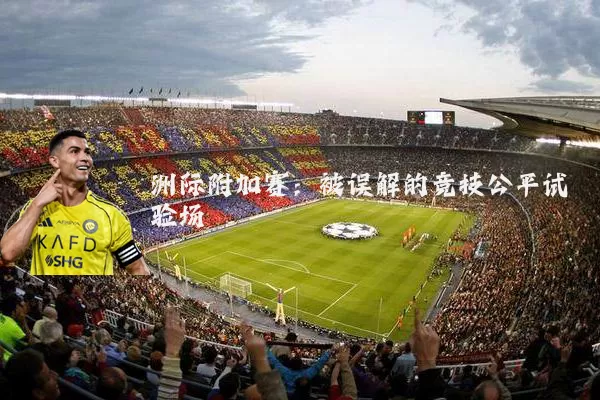 洲际附加赛：被误解的竞技公平试验场